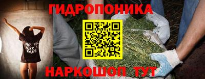 спайс Будённовск